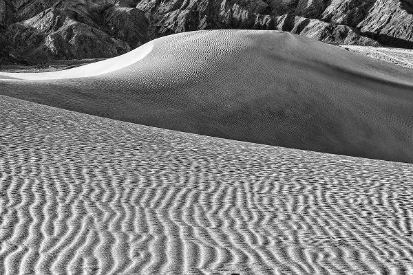 Ford, John 아티스트의 Mesquite Dunes-Death Valley National Park-California작품입니다.